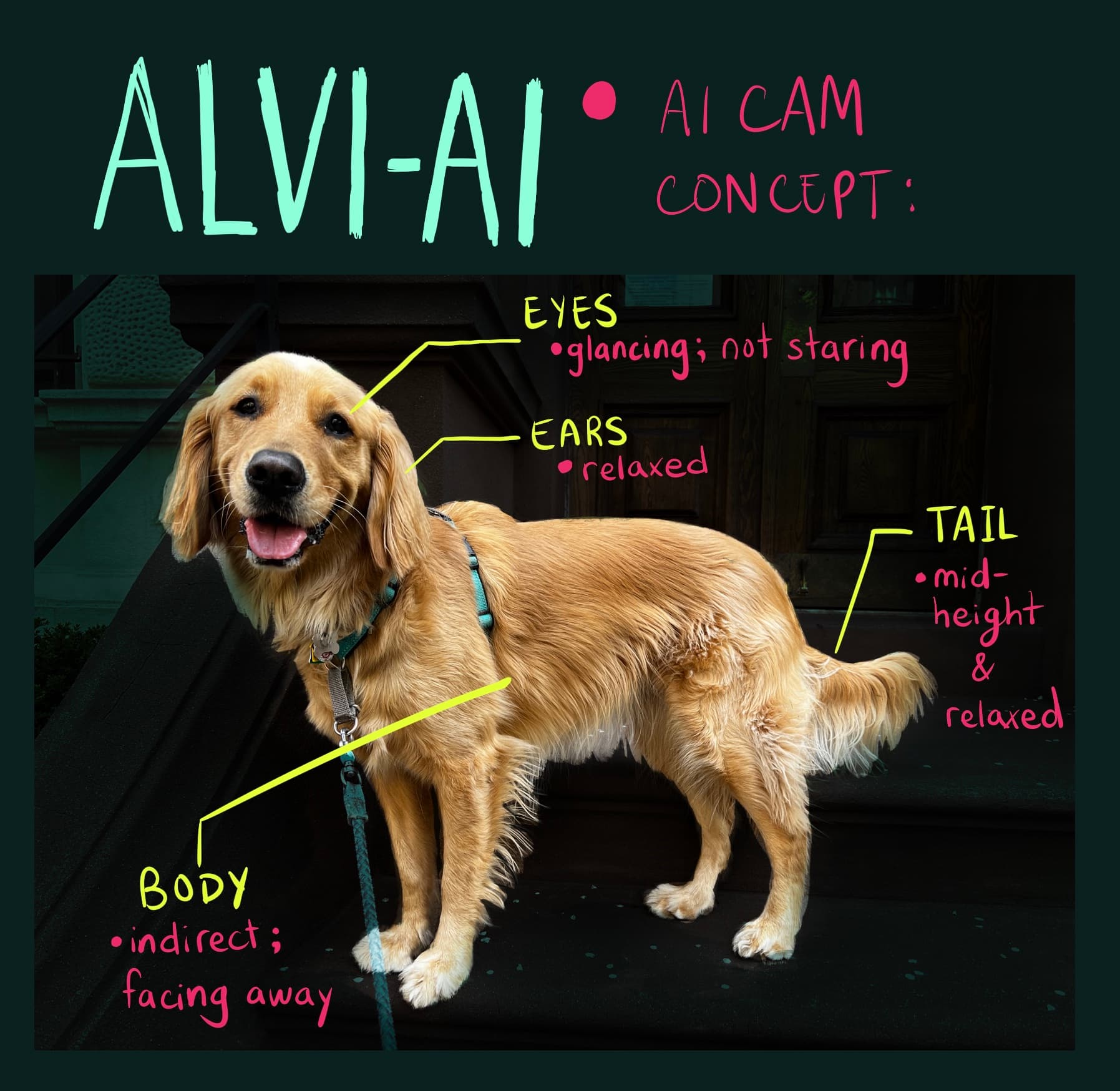 Sample of what an ALVI-AI Camera could potentially deliver.